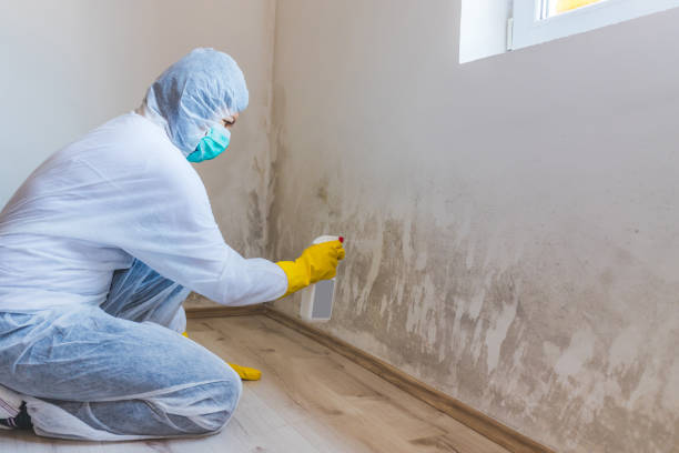 Licensed Attic Mold Remediation service in Fort Worth, TX - Car Mold Remediation